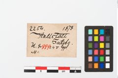 Etikett zu Bronzebrillenfibel (NHMW-PRAE-002254)